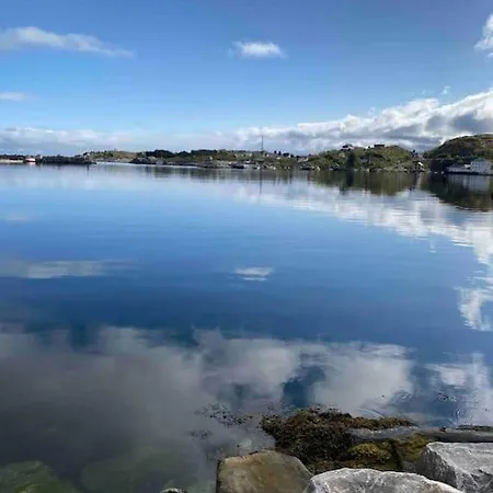 Lägenhet Moderne Minihus Ved Havet Sørvågen